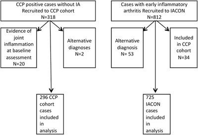 Comorbidities in Anti-Cyclic Citrullinated Peptide Positive At-Risk Individuals Do Not Differ from Those Patients with Early Inflammatory Arthritis